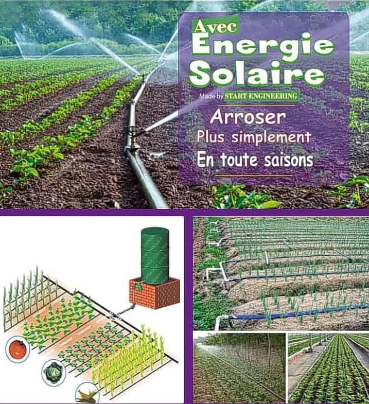 Photo irrigation solaire